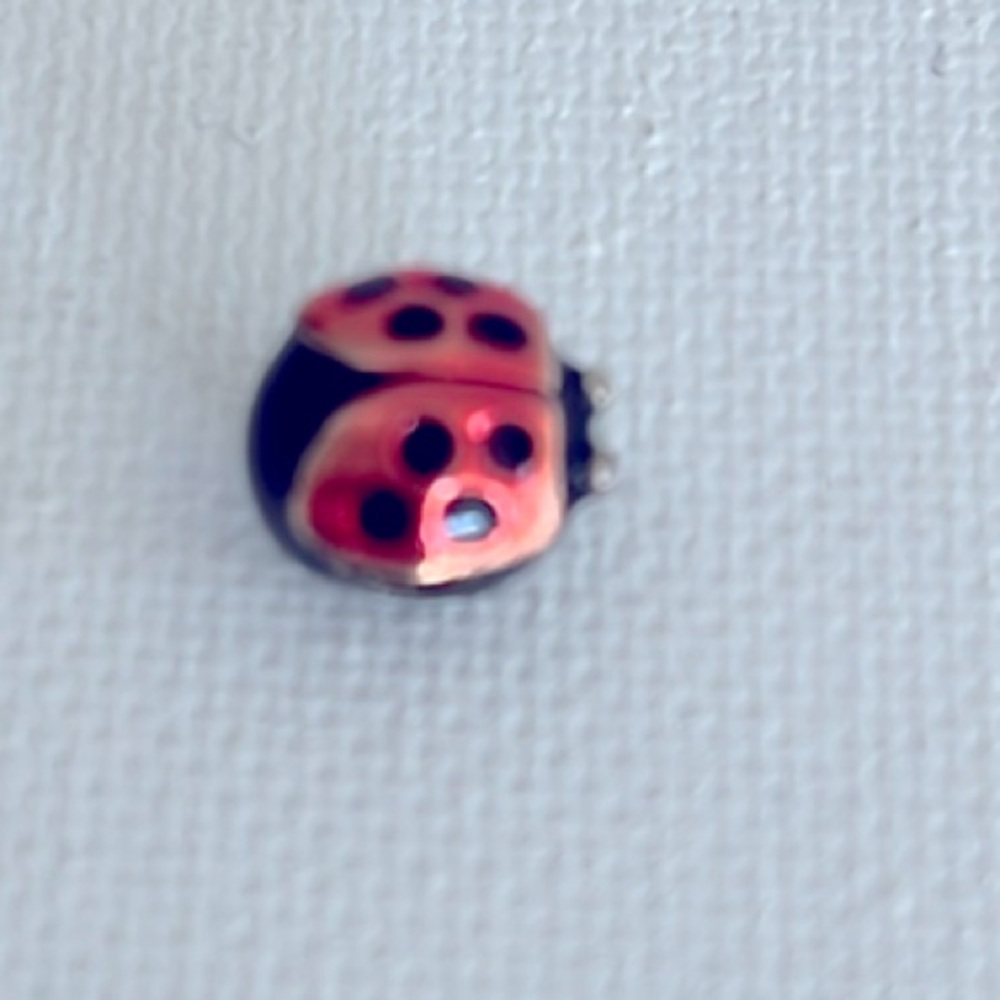 Ladybug, enamel sterling silver charm